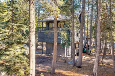 a tree house in the middle of the forest at Ski-InandSki-Out Retreat with Sauna in Bear Valley! in Bear Valley