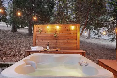 a bath tub in front of a wooden wall at 