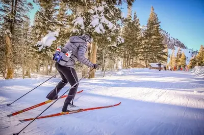 a person is cross country skiing in the snow at Mammoth Green 219 in Mammoth Lakes