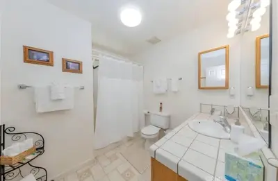 a bathroom with a sink and a shower and a toilet at The Lady Bug Family Retreat in Mariposa