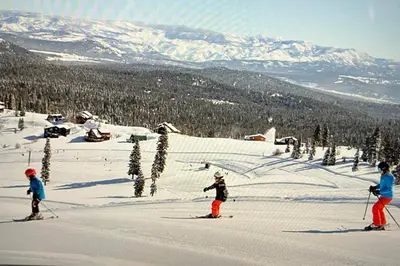 Gallery image of Outdoor Fun Pets OK Minutes from Ski Areas in Truckee