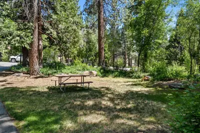 a picnic table in a park with a dog laying on the grass at Creekside Chalet Stay for 6 in Kings Beach