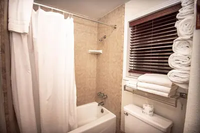 a bathroom with a white shower curtain and a toilet at Family Getaway Near Yosemite - Downtown Mariposa in Mariposa