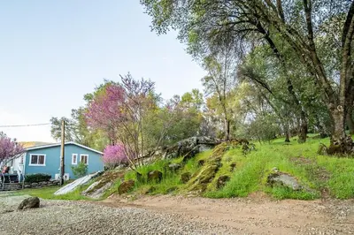 a dirt road in front of a house with trees at The Nest-2 K Beds-Game Room-Deck-5 min to Mariposa in Mariposa