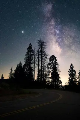 a road under a starry night sky with trees at Ely Farm House - Near Yosemite National Park in Oakhurst