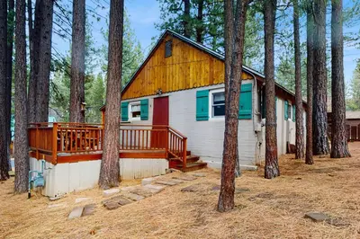 a house with a wooden roof in the woods at Basecamp on Aspen in South Lake Tahoe
