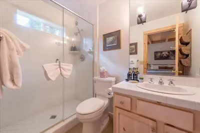 a bathroom with a shower and a toilet and a sink at Tahoe Pines Beach Retreat home in Homewood