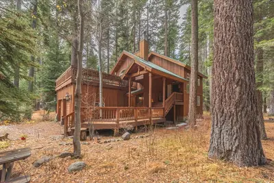 a cabin in the woods with a tree at Tahoe Pines Beach Retreat home in Homewood