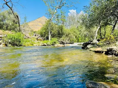 a river in the middle of a canyon with trees at 2 Homes by the River in Three Rivers