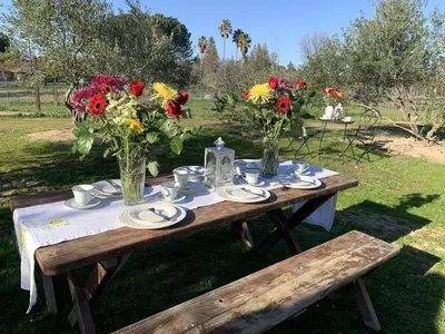 a wooden table with flowers in vases on it at Cozy Rustic Cabin on a Working Horse Ranch for a Unique Getaway in Granite Bay, California in Granite Bay
