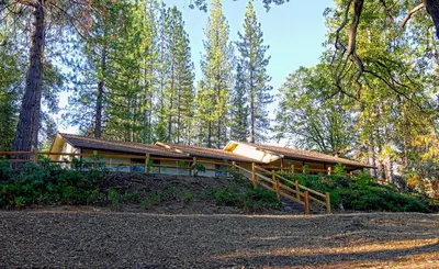 a house in the middle of a forest at Blue Bird Ranch in Oakhurst