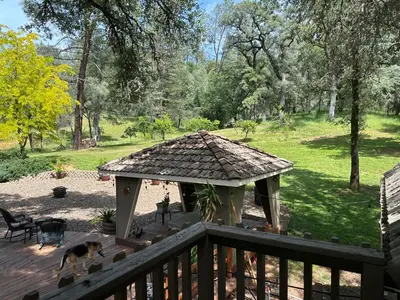 a dog standing on a deck with a gazebo at Gold Country Serenity! 45 Minutes to Powder! in Grass Valley