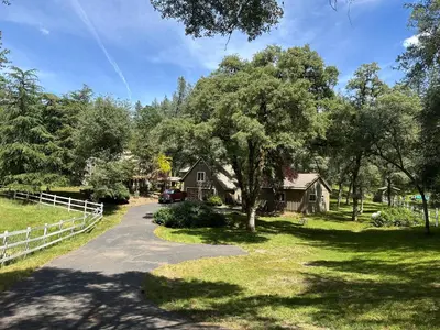 a driveway leading to a house with a tree at Gold Country Serenity! 45 Minutes to Powder! in Grass Valley
