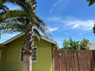 a palm tree next to a house with a fence at Cozy suite B in Sacramento
