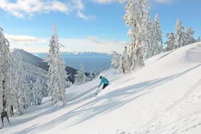 a person skiing down a snow covered slope with trees at Lakeshore Luxe in Incline Village