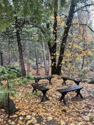 a group of picnic benches in the woods at 45R Camp Duke in North Wawona