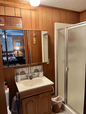 a bathroom with a sink and a shower at Twain Harte Cozy cabin downtown in Twain Harte