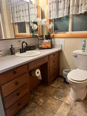a bathroom with a sink and a toilet at Twain Harte Cozy cabin downtown in Twain Harte