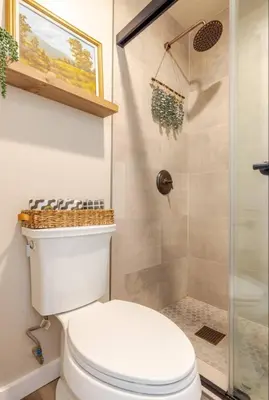 a bathroom with a toilet and a shower at Seasons Four 165 in Mammoth Lakes
