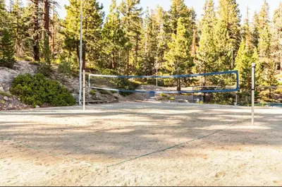 a volleyball net on a court with trees in the background at Mammoth Ski and Racquet 89 in Mammoth Lakes