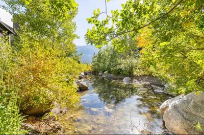 a river in the middle of a forest with trees at Lodges 1129 in Mammoth Lakes
