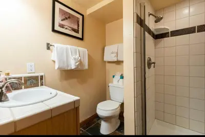 a bathroom with a toilet and a sink and a shower at Treehouse at Canyon Lodge Walk to Slopes in Mammoth Lakes