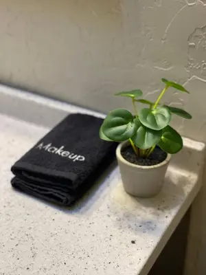 a potted plant sitting on a counter next to a towel at The Little Dipper Cabin in Shaver Lake