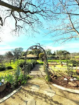 an archway over a path in a park at Hot Tub, Farm Chic Shingle Springs Birders Heaven in Shingle Springs