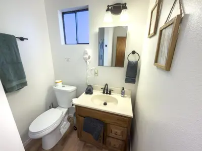 a bathroom with a toilet and a sink and a mirror at Fox Cabin - Lakefront - Sleeps 4 in Bass Lake