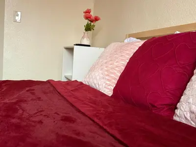 a bed with a red blanket and a vase with a rose at Vineyard inspired house in stockton in Stockton