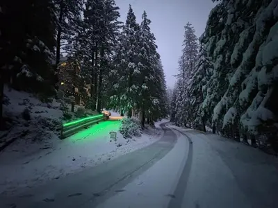 a snowy road with green lights in the snow at Half Dome Haven - Cozy Yosemite West Studio in Yosemite West