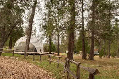 a tent in the middle of a forest with a fence at Bright Modern Tiny Retreat with Yoga Dome Near Yosemite, Groveland, California in Groveland