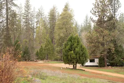a tree in the middle of a field with a tent at Cozy Modern Tiny Retreat with Stargazing & Yoga Dome Access Near Yosemite Tioga Pass, Groveland, California in Groveland