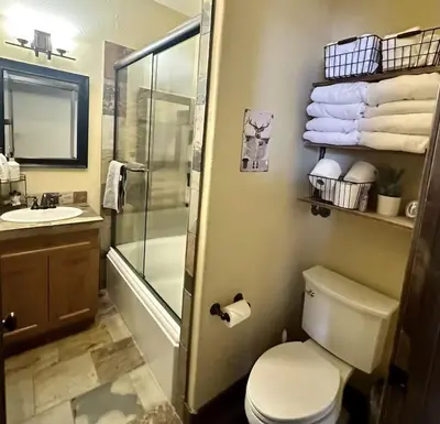 a bathroom with a toilet and a shower and a sink at Kirkwood Mountainside Cottage Deck Walk to Lifts in Kirkwood