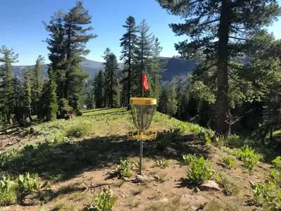 a frisbee golf goal in a field with trees at Kirkwood Mountainside Cottage Deck Walk to Lifts in Kirkwood