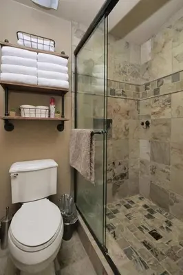 a bathroom with a toilet and a glass shower at Kirkwood Mountainside Cabin & Cottage Deck wViews in Kirkwood
