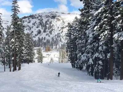 a person skiing down a snow covered slope with trees at Ski in Ski out Dream Studio Village Mtn Views in Kirkwood