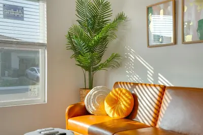 a brown leather couch in a living room with a plant at Great for Digital Nomads! Convenient Manteca Apt in Manteca
