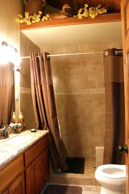 a bathroom with a shower with a toilet and a sink at Gorgeous cottage in fair oaks village in Fair Oaks