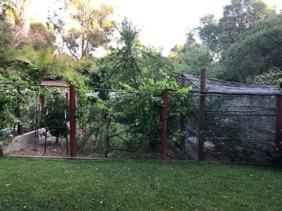 a fence in a yard with green grass at Magnificent stay at fair oaks village in Fair Oaks