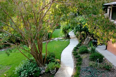 a garden with a sidewalk and trees and grass at Charming vintage village house in Fair Oaks