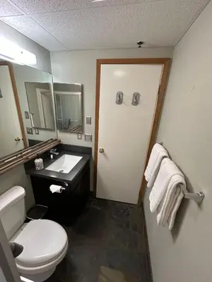 a bathroom with a white toilet and a sink at The Meadows Modern Suite Deck & Garage Parking in Kirkwood