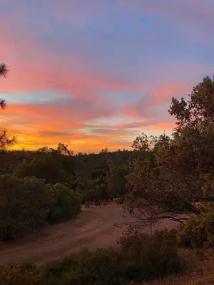 a sunset in a field with trees and a dirt road at Cozy Woodworker's Cabin, 26 miles to Yosemite! in Midpines