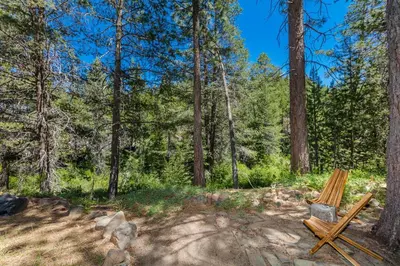 a wooden bench sitting in the middle of a forest at Alder Creek Paradise Tree-lined Cabin Stay for 7 in Truckee