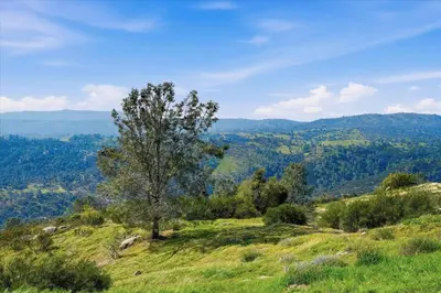 a tree on top of a grassy hill at Incredible View Near Yosemite, Spacious 4BR House! in Coarsegold