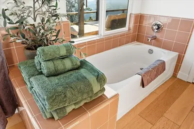 a bathroom with a bath tub with three towels and a plant at Incredible View Near Yosemite, Spacious 4BR House! in Coarsegold