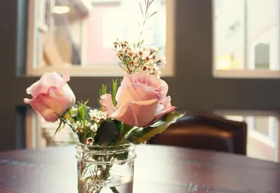 a vase filled with pink roses sitting on a table at Rest, a boutique hotel in Plymouth