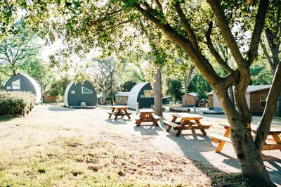 a group of picnic tables in a park with trees at Sierra Meadows in Ahwahnee