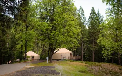 a cabin in the middle of a forest with trees at Yosemite Lakes Hillside Yurt 1 in Harden Flat
