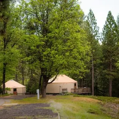 Yosemite Lakes Hillside Yurt 1